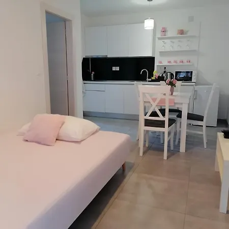 Rosa Нови-Винодолски